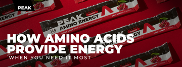How Amino Acids Provide Energy When You Need It Most